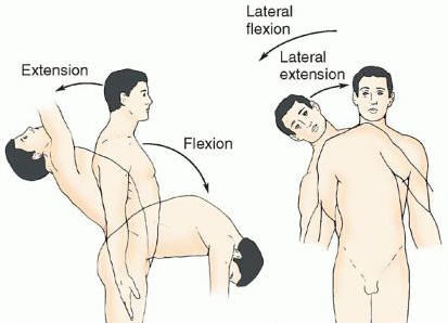 Image result for lumbar lateral flexion